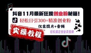 抖音11月最新狂揽创业粉秘籍,轻松日引300+精准创业粉,仅需图片+音频,轻松搞定创业类视频-21资源库