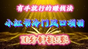 每天 10 分钟,小红书冷门风口项目开启,有手就行的搬运赚钱法,小白日入500 +【揭秘】-21资源库