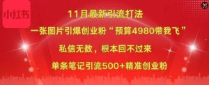 小红书11月最新图片打粉,一张图片引爆创业粉,“预算4980带我飞”,单条引流500+精准创业粉-21资源库