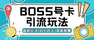 Boss直聘流量卡引流变现玩法,日引200+创业粉【揭秘】-21资源库