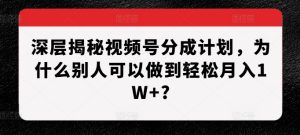 深层揭秘视频号分成计划,为什么别人可以做到轻松月入1W+?-21资源库