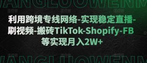 利用跨境专线网络-实现稳定直播-刷视频-搬砖TikTok-Shopify-FB等实现月入2W+【揭秘】-21资源库