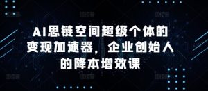 AI思链空间超级个体的变现加速器，企业创始人的降本增效课-21资源库