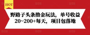 野路子头条撸金玩法,单号收益20~200+每天,项目包落地-21资源库