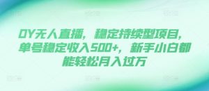 DY无人直播，稳定持续型项目，单号稳定收入500+，新手小白都能轻松月入过万【揭秘】-21资源库