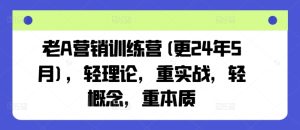 老A营销训练营(更24年11月),轻理论,重实战,轻概念,重本质-21资源库