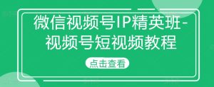 微信视频号IP精英班-视频号短视频教程-21资源库