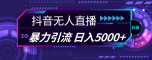 抖音快手视频号全平台通用无人直播引流法，利用图片模板和语音话术，暴力日引流100+创业粉【揭秘】-21资源库