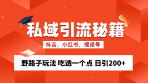 私域流量的精准化获客方法 野路子玩法 吃透一个点 日引200+ 【揭秘】-21资源库