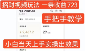招财视频玩法，一条视频收益723，手把手教学，小白当天可上手-21资源库