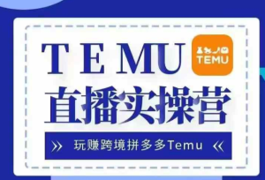 Temu直播实战营，玩赚跨境拼多多Temu，国内电商卷就出海赚美金-21资源库