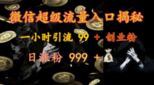 微信超级流量入口揭秘:一小时引流 99 + 创业粉,日涨粉 999 +-21资源库