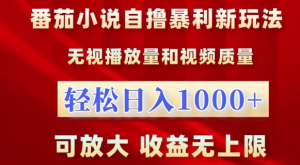 番茄小说自撸暴利新玩法,无视播放量,轻松日入1k,可放大,收益无上限【揭秘】-21资源库