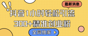 全网独家抖音引流,轻松日引300+精准创业粉【揭秘】-21资源库