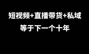 短视频+直播带货+私域等于下一个十年，大佬7年实战经验总结-21资源库