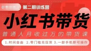 小Red书带货42天训练营 2.0版,宝妈+自由职+上班族+大学生,提高副业收入的大红利项目-21资源库
