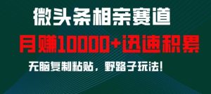 微头条相亲赛道，迅速积累，无脑复制粘贴，野路子玩法，月入1w-21资源库