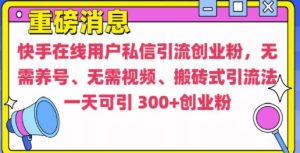 快手最新引流创业粉方法,无需养号、无需视频、搬砖式引流法【揭秘】-21资源库