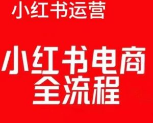 红薯电商实操课,小红书电商全流程-21资源库