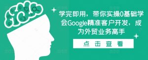 学完即用,带你实操0基础学会Google精准客户开发,成为外贸业务高手-21资源库