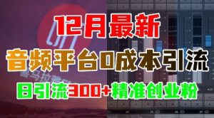 12月最新:音频平台0成本引流,日引流300+精准创业粉-21资源库