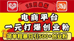 12月最新:电商平台1元打爆创业粉,简单粗暴日引500+精准创业粉,轻松月入过W【揭秘】-21资源库