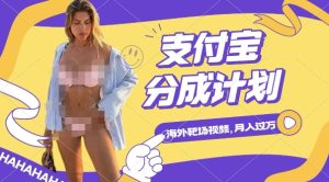 利用海外靶场射击视频,挣支付宝分成收益,轻松月入过W【揭秘】-21资源库