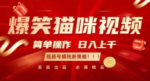 爆笑猫咪视频:简单操作,日入过K,视频号搞钱新策略【揭秘】-21资源库