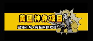 美团神券神会员_入门级教程,外卖券膨胀推广项目【全网首发,全新蓝海】-21资源库