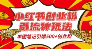 小红书创业粉引流神玩法，单图笔记引爆500+精准创业粉丝，私信狂潮接连不断-21资源库