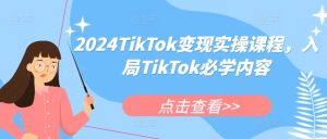 2024TikTok变现实操课程，入局TikTok必学内容-21资源库