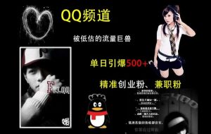 QQ频道:被低估的流量巨兽,单日引爆500+精准创业粉、兼职粉的引流秘籍-21资源库