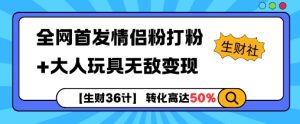 【生财36计】全网首发情侣粉打粉+大人玩具无敌变现-21资源库