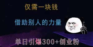 仅需一块钱，借助别人的力量，单日引爆300+创业粉、兼职粉【揭秘】-21资源库