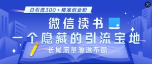 微信读书,一个隐藏的引流宝地,不为人知的小众打法,日引流300+精准创业粉,长尾流量源源不断-21资源库