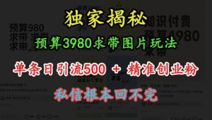预算3980求带 图片玩法,单条日引流500+精准创业粉,私信根本回不完-21资源库