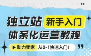 独立站新手入门体系化运营教程,助力独立站卖家从0-1快速入门!-21资源库