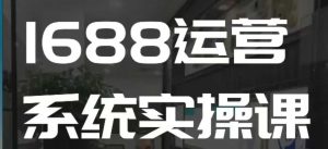 1688高阶运营系统实操课,快速掌握1688店铺运营的核心玩法-21资源库