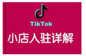 TikTok跨境小店运营全攻略，帮助你独立运营TK跨境小店的能力，实现销量增长-21资源库