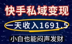 一天收入1691.5，快手私域变现，小白也能闷声发财-21资源库