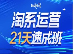 淘系运营21天速成班35期，年前最后一波和2025方向-21资源库