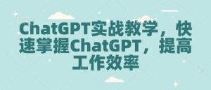 ChatGPT实战教学，快速掌握ChatGPT，提高工作效率-21资源库