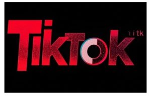 TikTok ads投流秘籍,涵盖tiktok整体投放思路,教你搭建测试计划-21资源库
