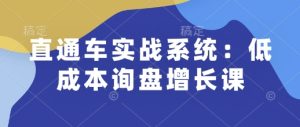 直通车实战系统：低成本询盘增长课，让个人通过技能实现升职加薪，让企业低成本获客，订单源源不断-21资源库