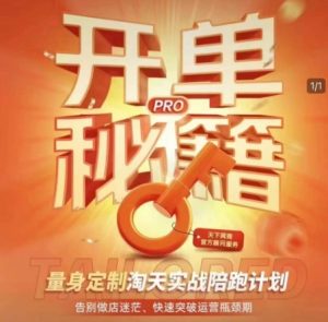 淘宝开单秘籍PRO,量身定制淘天实战陪跑计划,告别做店迷茫、快速突破运营瓶颈期-21资源库