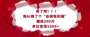 疯了吧!用AI做了个“会做饭的猫”,播放200万,单日变现1k-21资源库