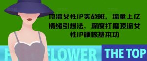 顶流女性IP实战班，流量上亿情绪引爆法，深度打磨顶流女性IP硬核基本功-21资源库