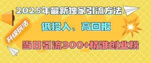 2025年最新独家引流方法,低投入高回报?当日引流300+精准创业粉-21资源库
