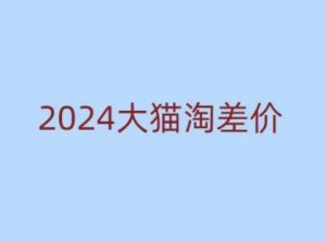 2024版大猫淘差价课程，新手也能学的无货源电商课程-21资源库