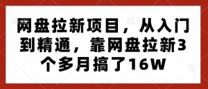 网盘拉新项目,从入门到精通,靠网盘拉新3个多月搞了16W-21资源库